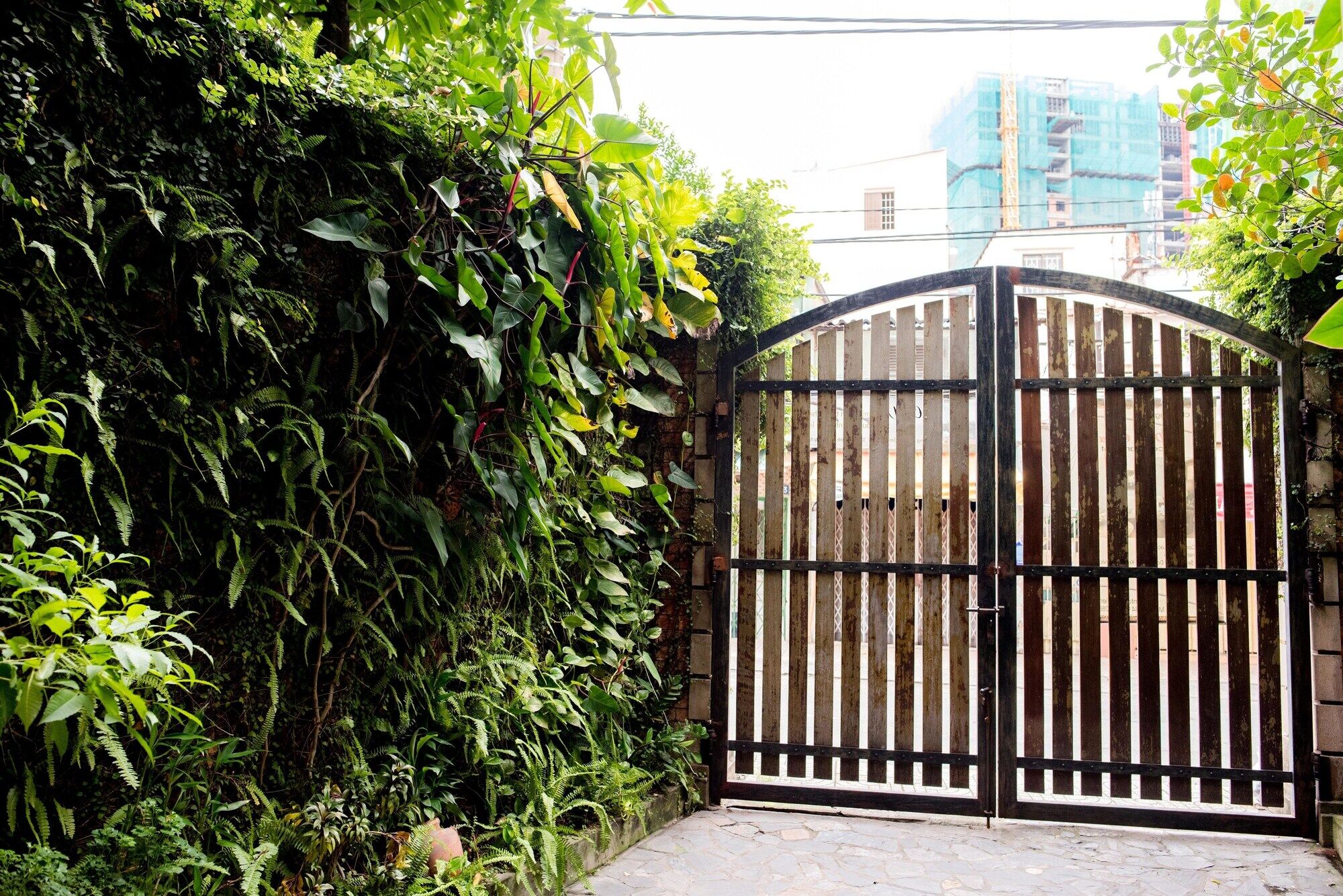 ホテル Ba Tra House ホーチミン市 エクステリア 写真